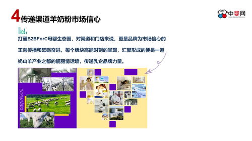 整合多元渠道，深化品牌影響力 中嬰網(wǎng)互動營銷主題活動策劃案